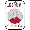 https://img.yclwgs.com/img/basketball/team/4b06fe02aaa7da5901e5698485059da0.png